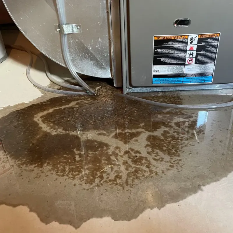 Pipe Burst and Leak Restoration in Lyncourt, NY