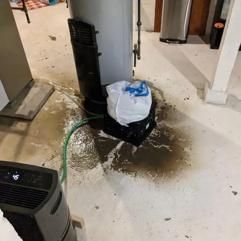 Sewage Backup Cleanup Service in Lyncourt, NY